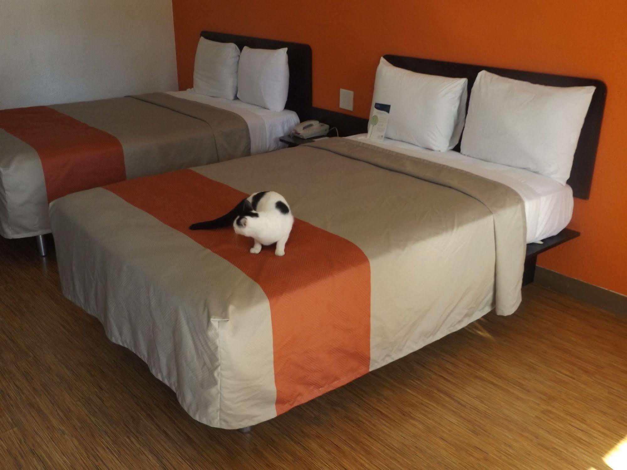 Motel 6 Glendale Az מראה חיצוני תמונה